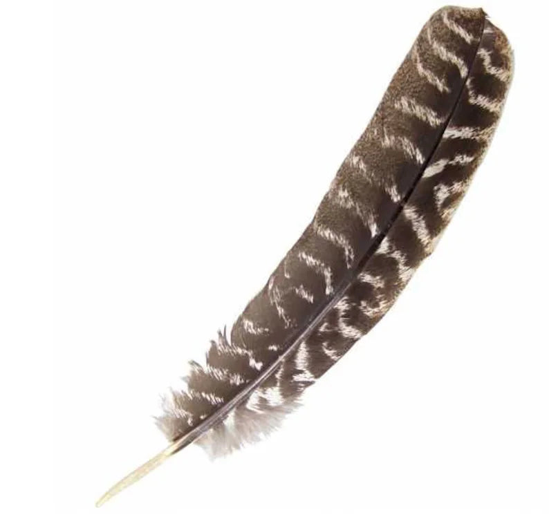 Feathers For Smudging