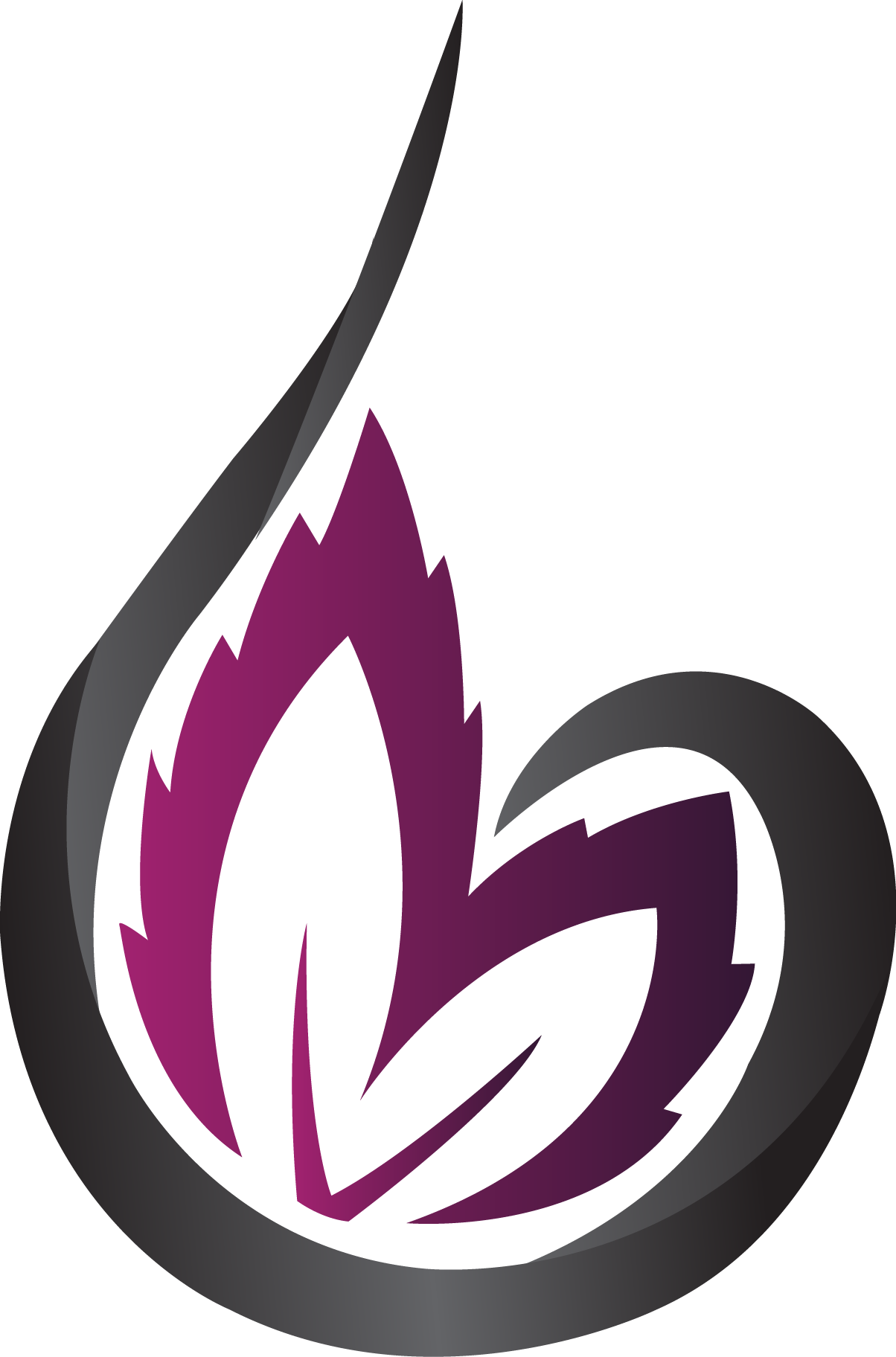 The Stash & Co The Stash & Co.