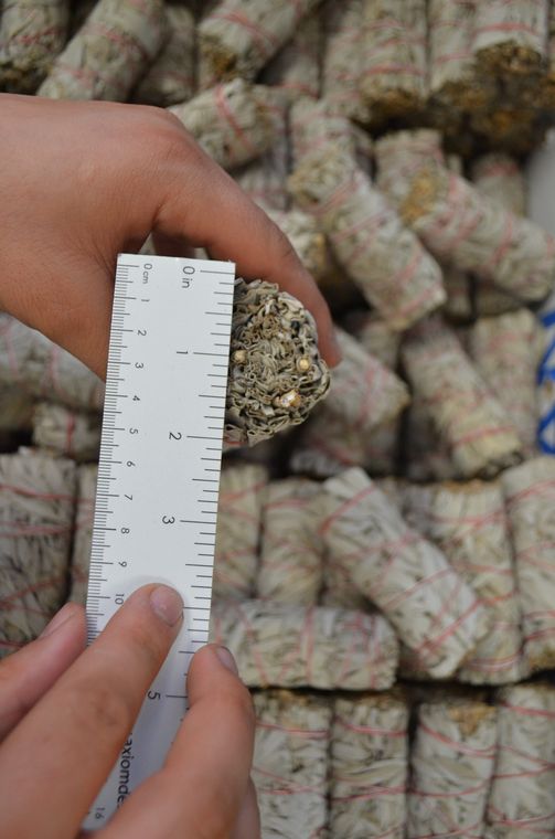 ORGANIC White Sage Smudge Sticks I Sage High Quality 2 side cutted