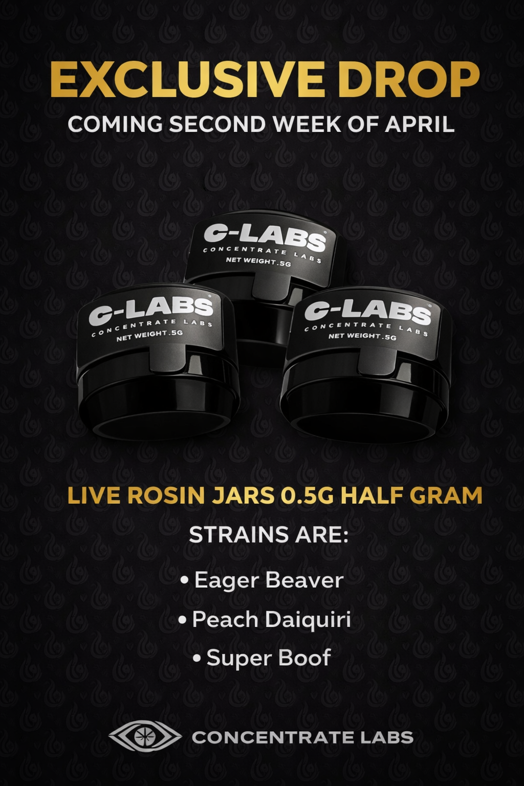 The Stash & Co – The Stash & Co.