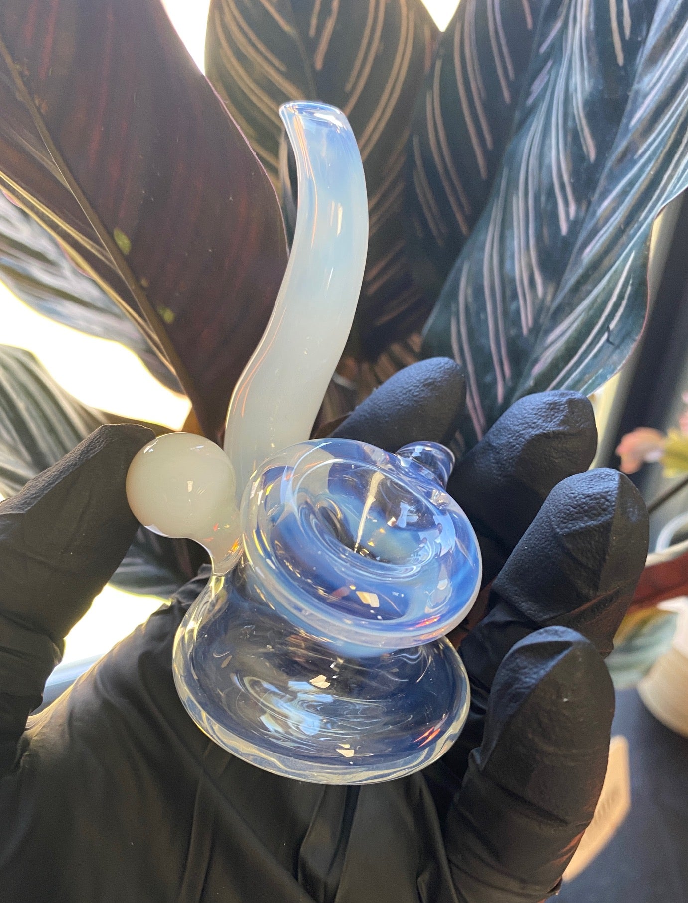 Evolve Glass - Clear Squatlock