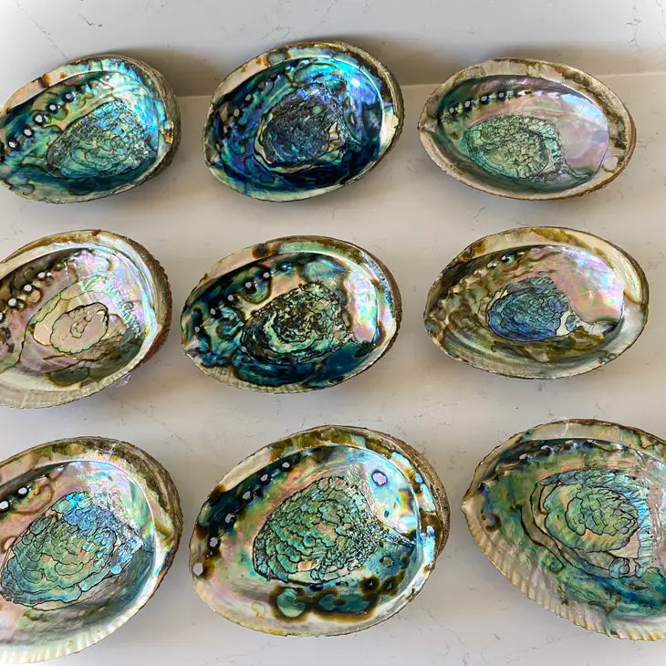 Abalone Shell Smudge Bowls (Medium)