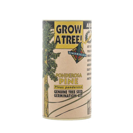 Ponderosa Pine | Seed Grow Kit