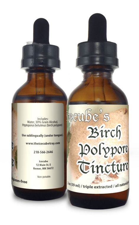 Icecube Herbals Birch Polypore Mushroom Tincture