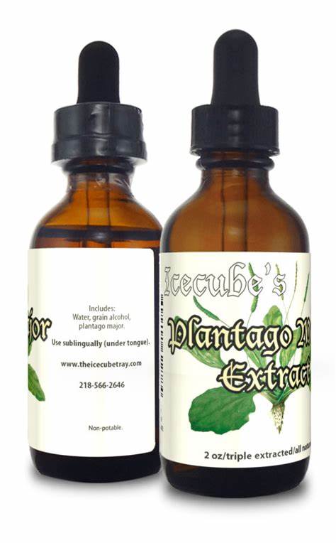 Icecube Herbals Plantago Major (Plantain) Extract 2 oz