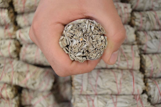 ORGANIC White Sage Smudge Sticks I Sage High Quality 2 side cutted